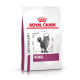 Royal Canin Veterinary Feline Renal – Hrană Uscată pentru Pisici cu Insuficiență Renală, 2 kg